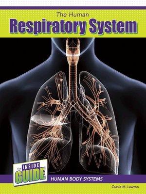 cover image of The Human Respiratory System